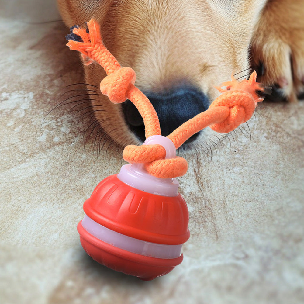 Interactive Dog Ball Toy Electronic Moving Rolling Ball Rope Chew Toy for Pet Dog