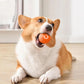 Pet Rolling Jumping Bouncing Ball Automatic Rolling Ball Toys