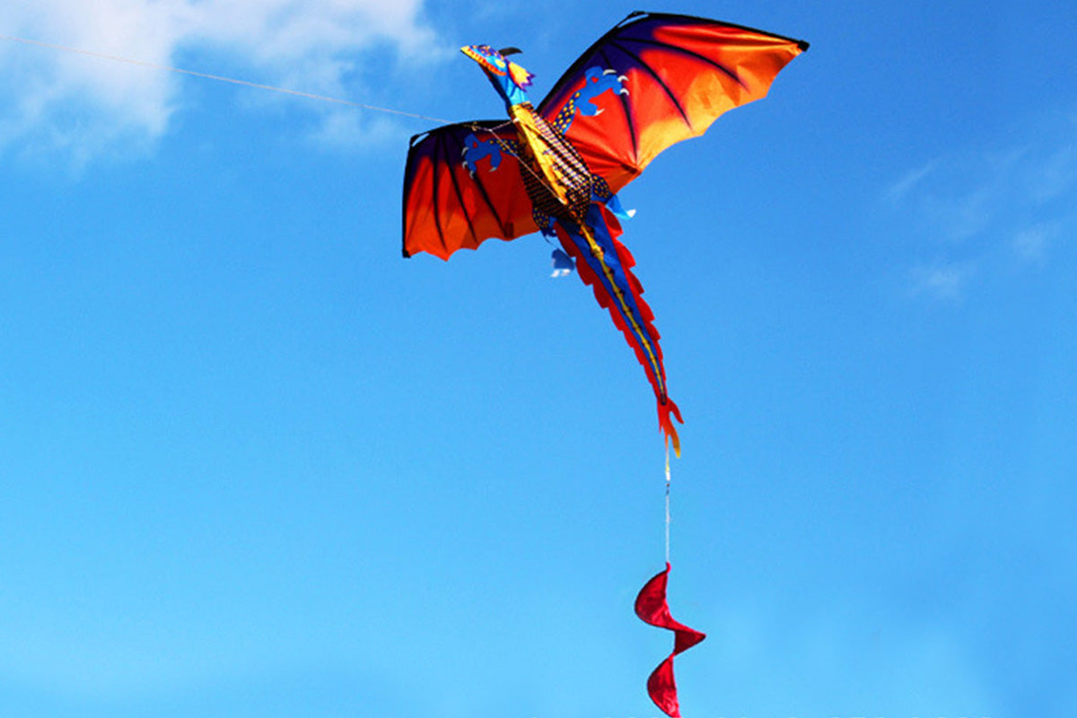 2X Outdoor Colorful 3D Dragon Flying Kite with 100m Tail Line 1.4m