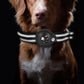 AirTag Dog Collar Reflective Pet Collar with Airtag Holder
