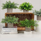 3Pcs Mini Potted Artificial Plastic Green Plants