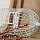 Iron Wire Birdcage Shape Succulent Plant Pot Hanging Frame
