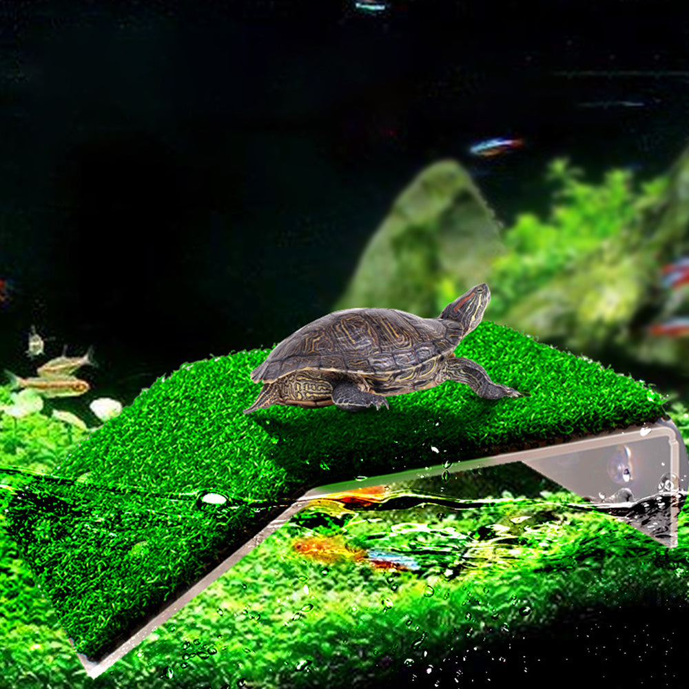 Cora Turtle Basking Platform Ramp Reptile Resting Terrace Simulation
