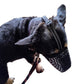 Breathable Dog Muzzle for Medium Large Sized Dog