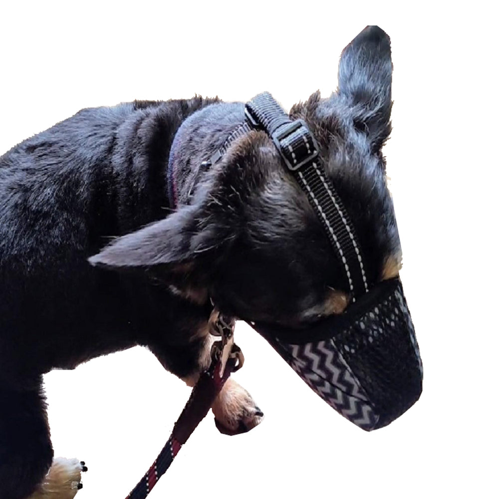 Breathable Dog Muzzle for Medium Large Sized Dog
