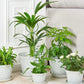 4Pcs Plant Trellis Metal Potted Houseplant Trellis Climbing Plants Support Stake