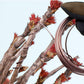 2 Rolls Anodized Aluminum Bonsai Training Wires
