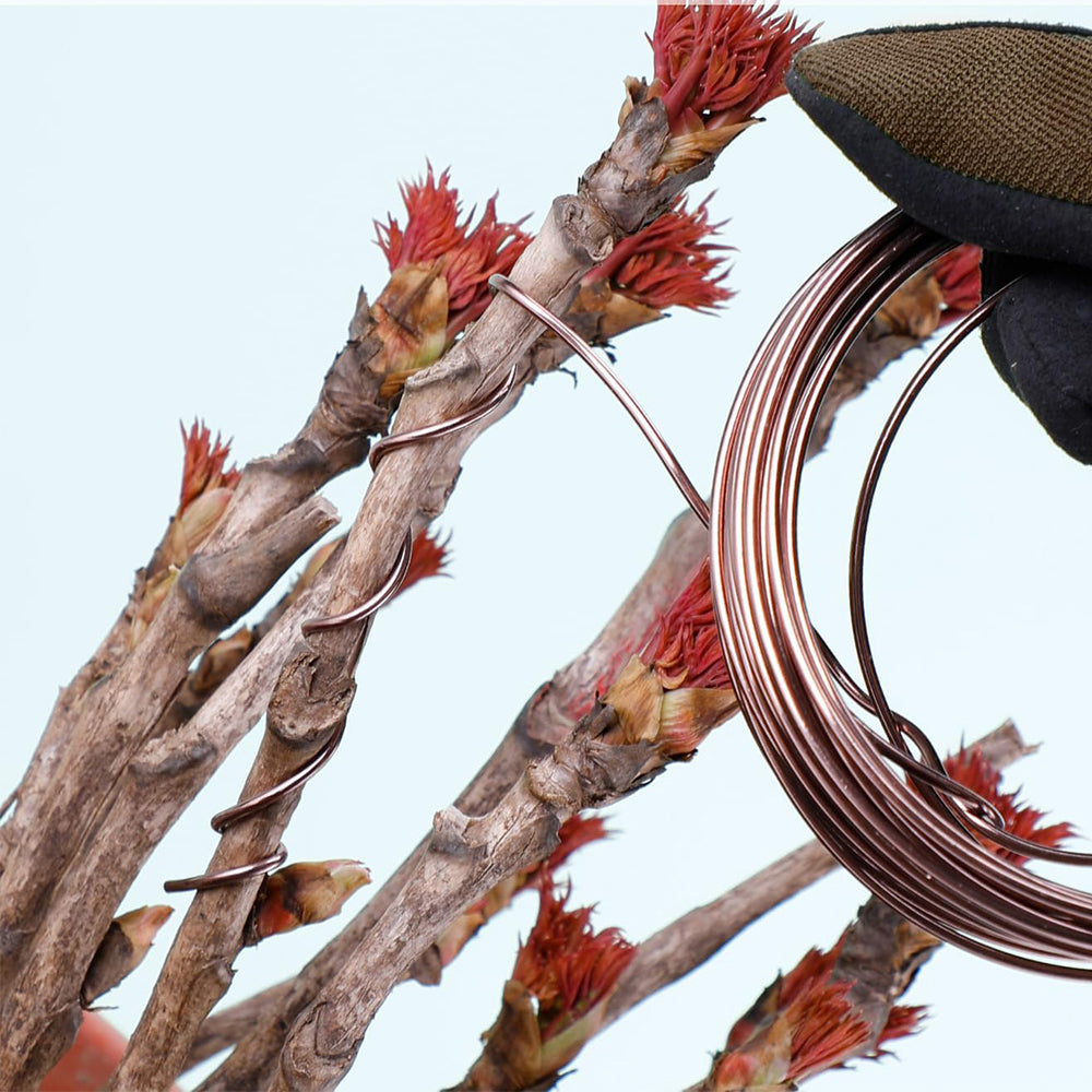 2 Rolls Anodized Aluminum Bonsai Training Wires