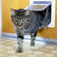 Pet Dog Cat Flap Door with 4 Way Lock
