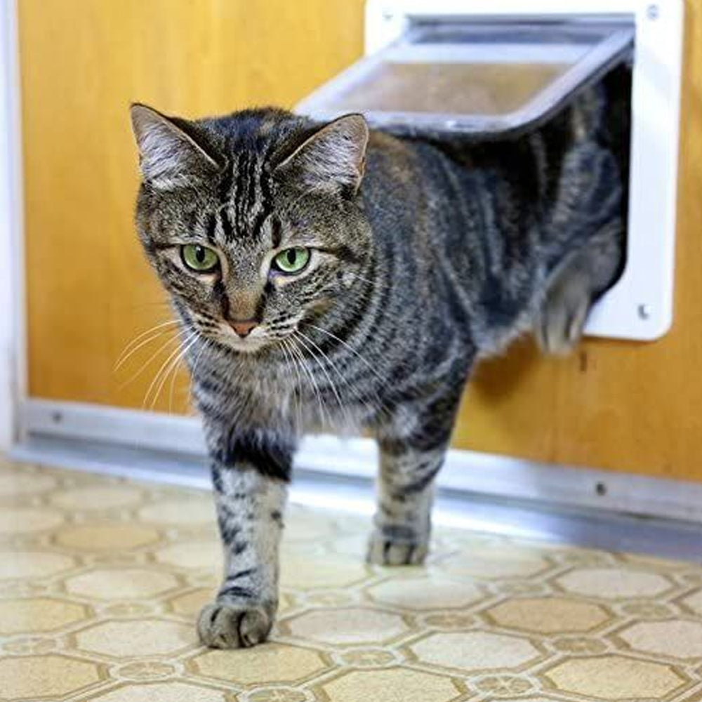 Pet Dog Cat Flap Door with 4 Way Lock