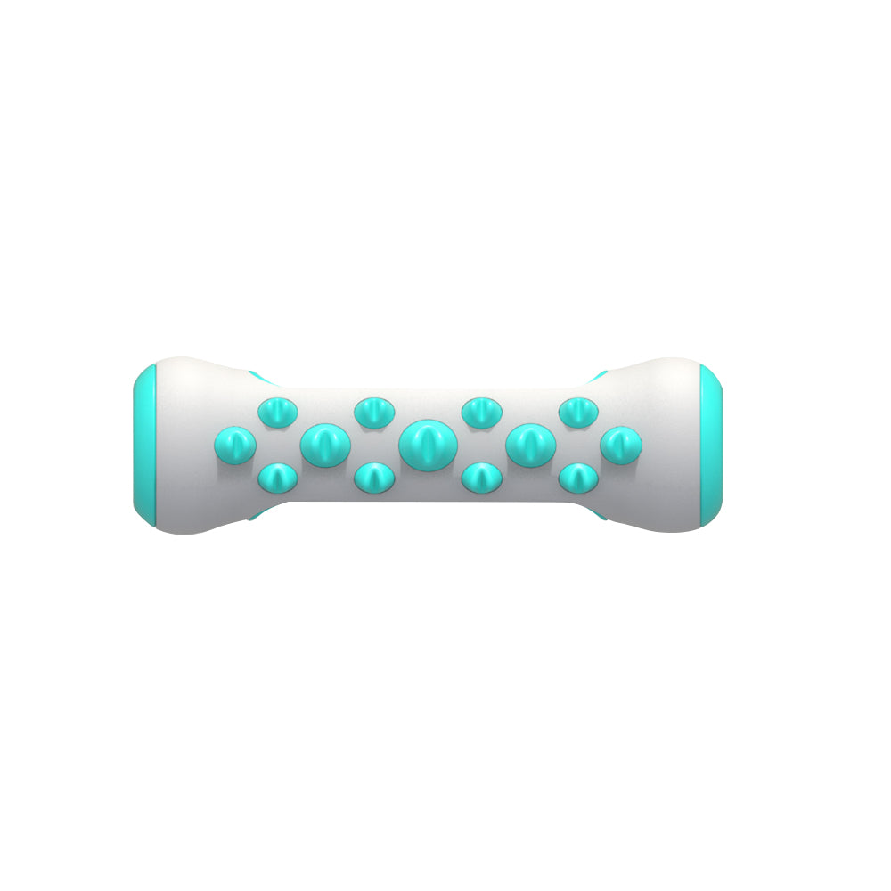 Dog Toothbrush Rubber Bone Chew Toy