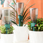 4Pcs Self Watering Spikes Plant Automatic Drip Irrigation System