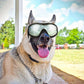 Fashion Pet Goggles