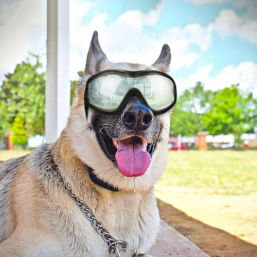 Fashion Pet Goggles