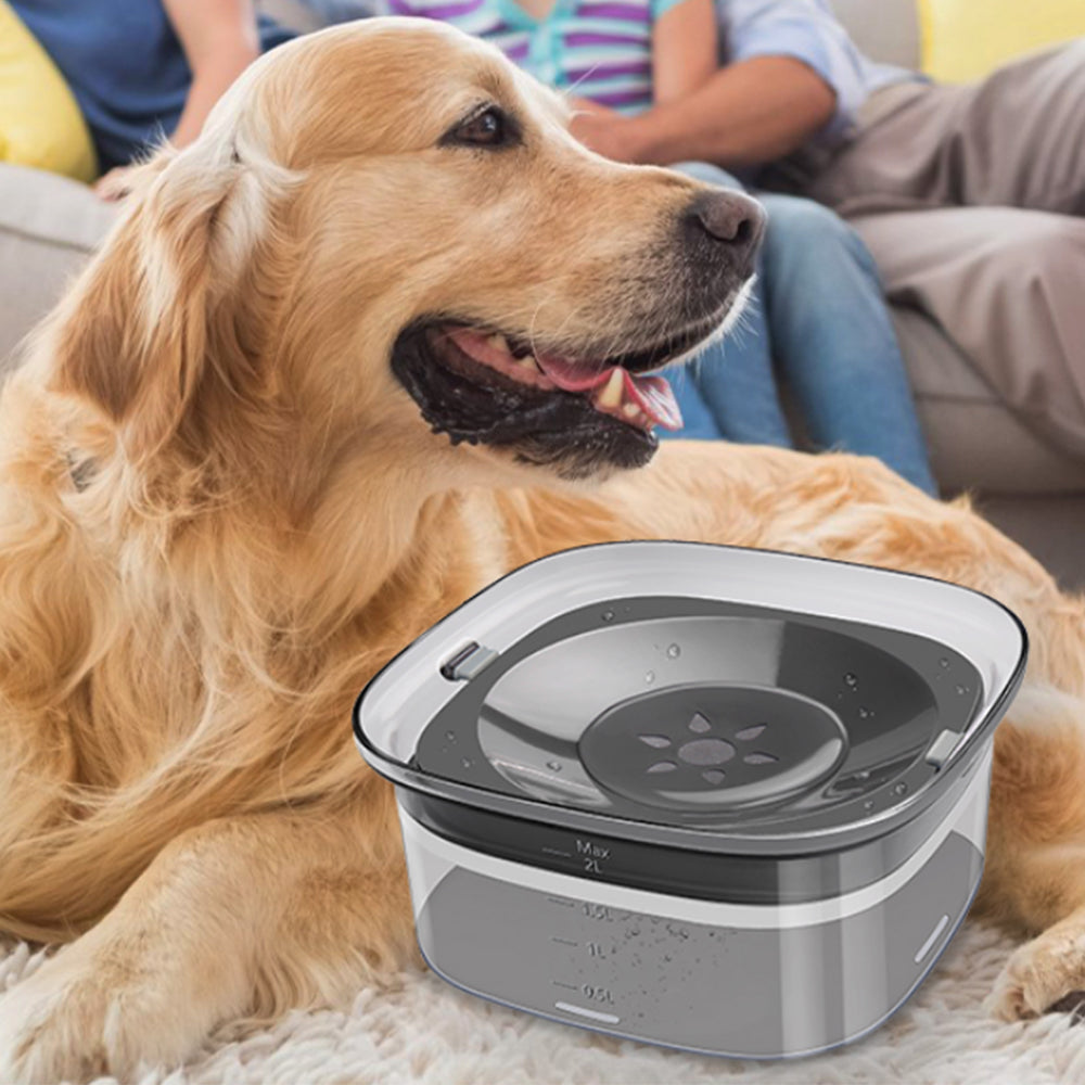 2L Pet No Spill Water Bowl