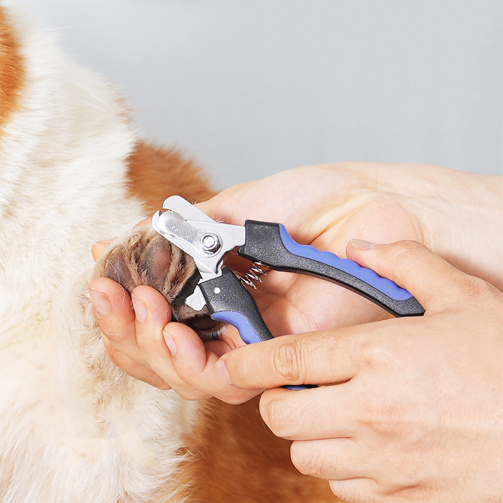 Rechargeable Nail Grinder Trimmer and Claws Clipper Kit for Dogs and Cats