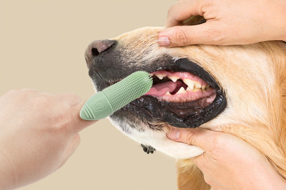 Silicone Pet Finger Toothbrush for Cats Dogs Daily Teeth Cleaning
