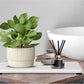 3Pcs Non-slip Water Absorbing Diatomite Stone Coasters Tray For Sink