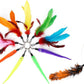 Interactive Cat Toy Set Telescopic Cat Wand with Feather Replacement Pack for Indoor Cat Play