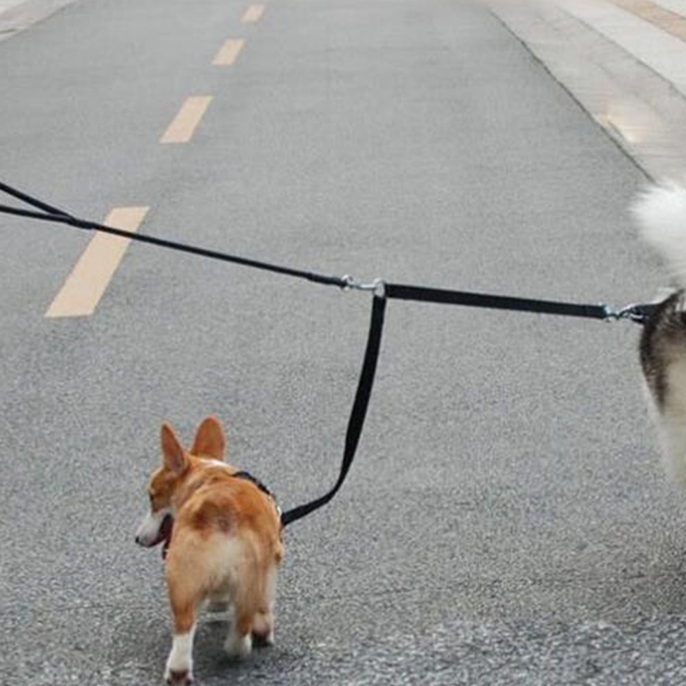 2Pcs Dual Dog Leash with One Lead Coupler Nylon Harness