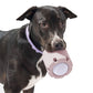 Tennis Tumble Puzzle Chew Toy for Pet Dog