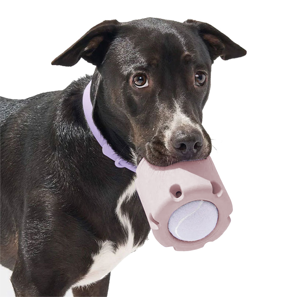 Tennis Tumble Puzzle Chew Toy for Pet Dog