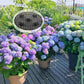10Pcs Elevator Plant Pot Saucer