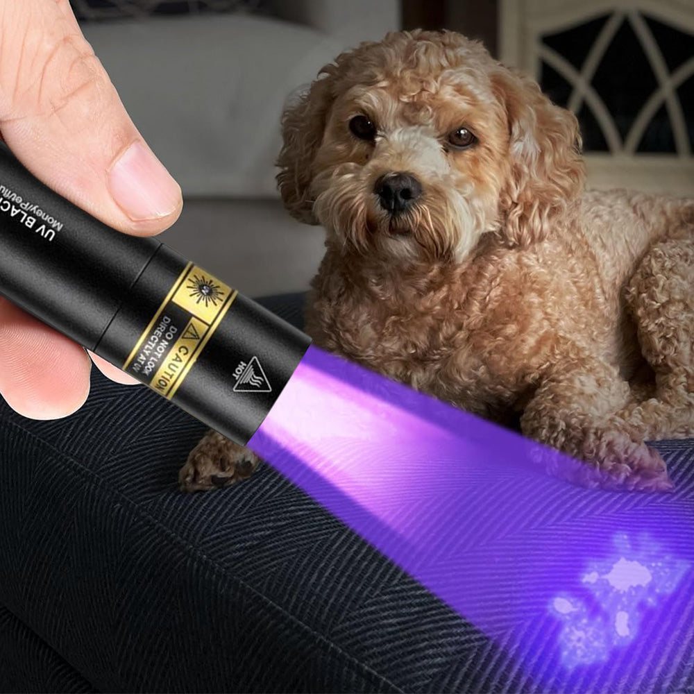 UV Flashlight 365nm LED with Rechargeable Battery for Pet Stain Detection