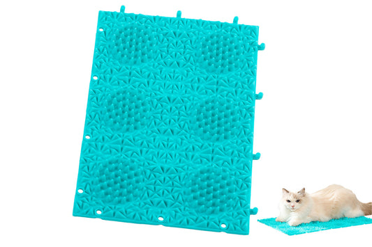 Cat Self Grooming Mat Itching Mat Self Massage Pad for Floor