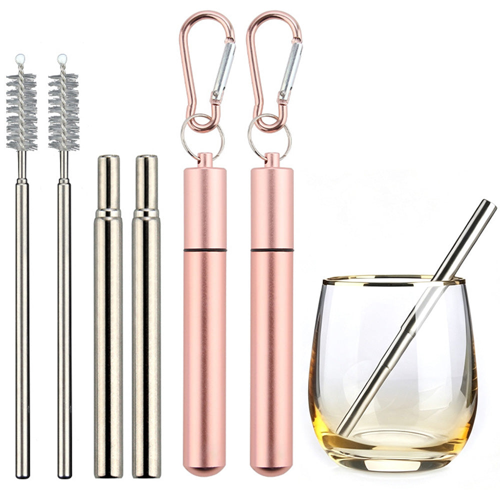 2 Pack Collapsible Stainless Steel Travel Straws with Keychain Cases