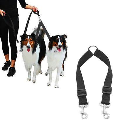 Dual Dog Leash with One Lead Coupler Nylon Harness