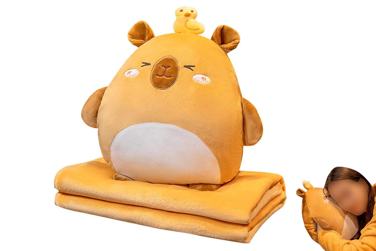 2-In-1 Cartoon Plushie Pillow Blanket
