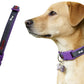 Adjustable Dog Collar with Bone Pendant Nylon Puppy Collar for Small Dogs