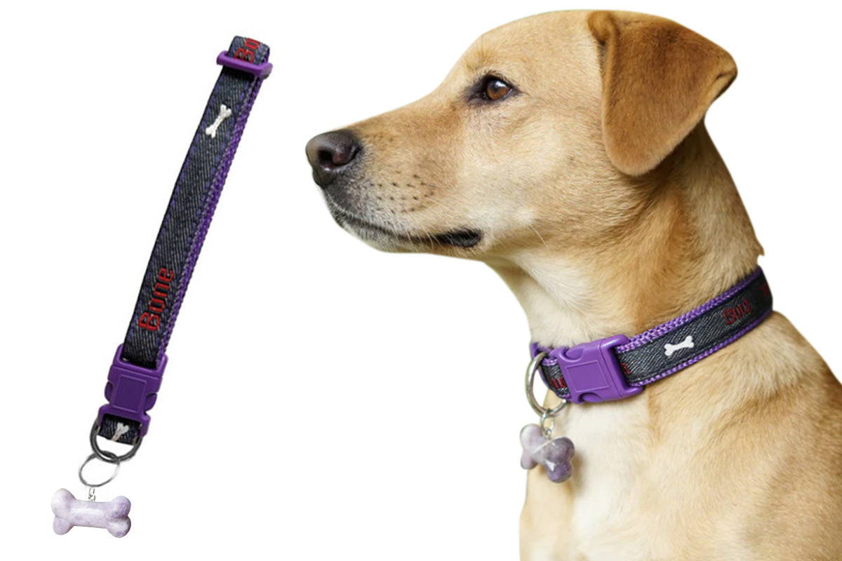 Adjustable Dog Collar with Bone Pendant Nylon Puppy Collar for Small Dogs
