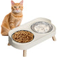 Elevated Double Stainless Steel Pet Food and Water Bowl Set