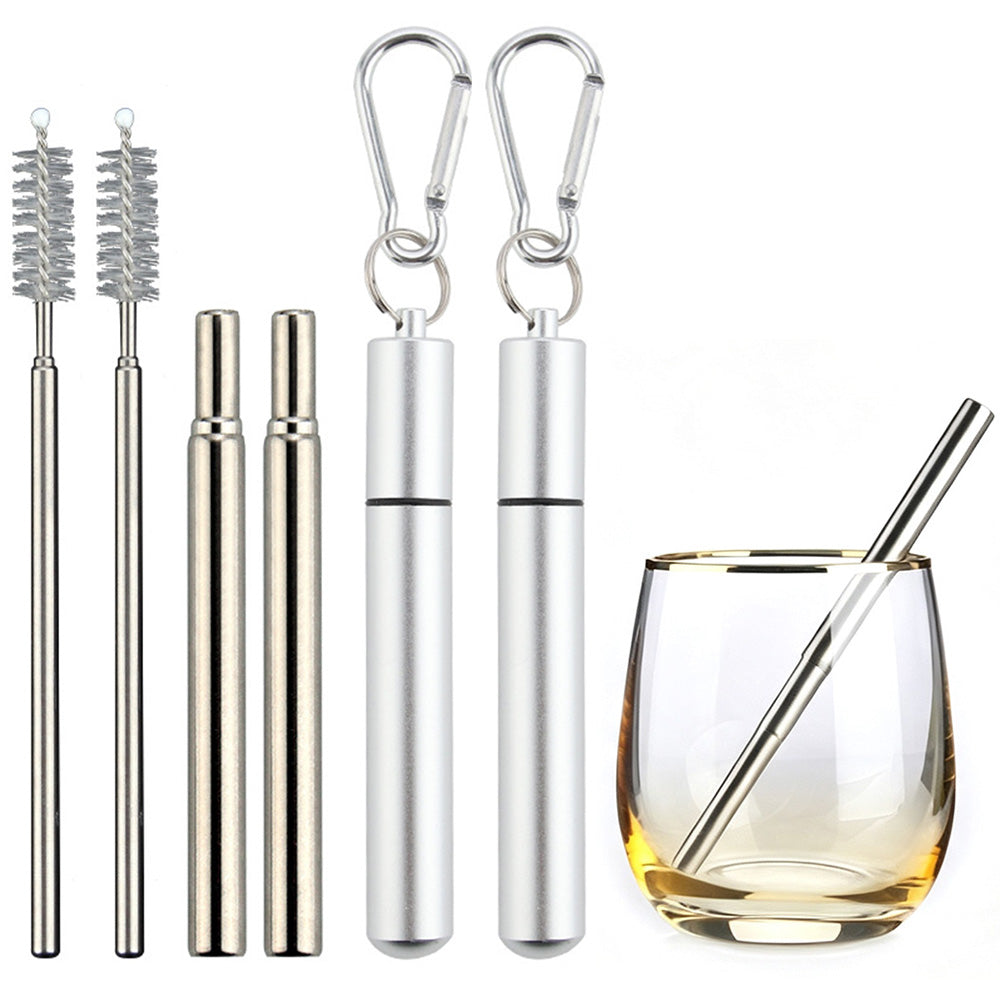2 Pack Collapsible Stainless Steel Travel Straws with Keychain Cases