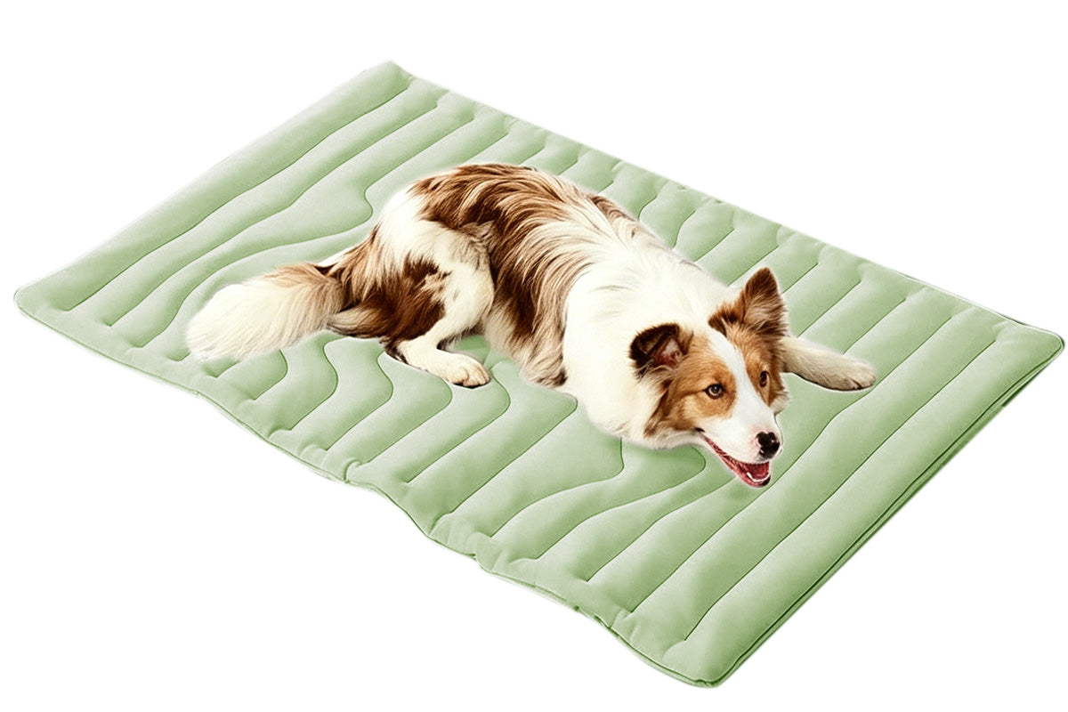Scratch Resistant Summer Cooling Mat for Pet