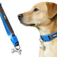 Adjustable Dog Collar with Bone Pendant Nylon Puppy Collar for Small Dogs