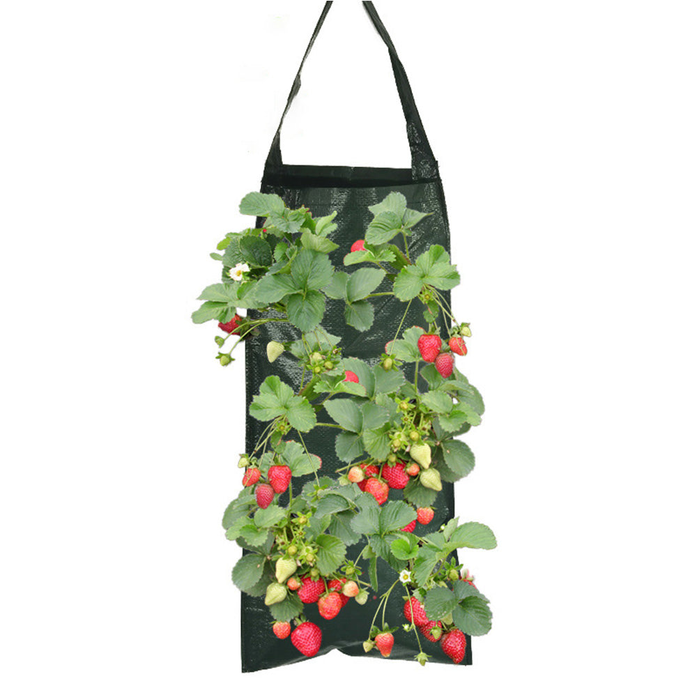 Breathable Hanging Type Strawberry Planting Bag