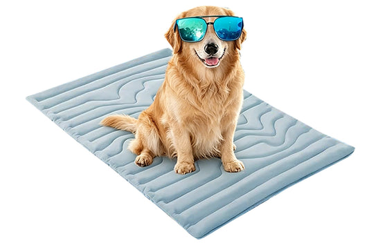 Scratch Resistant Summer Cooling Mat for Pet