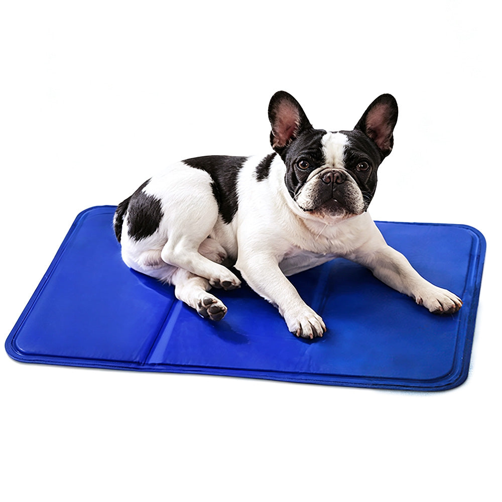 Blue Polyester Gel Cooling Sleeping Mat for Dogs Cats in 6 Sizes