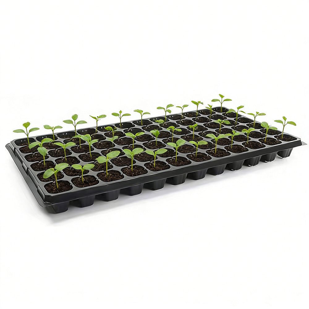 10 Pack Deep Cell Seed Starter Trays for Plant Nursery
