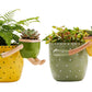 2-In-1 Resin Flower Pot with Drainage Hole