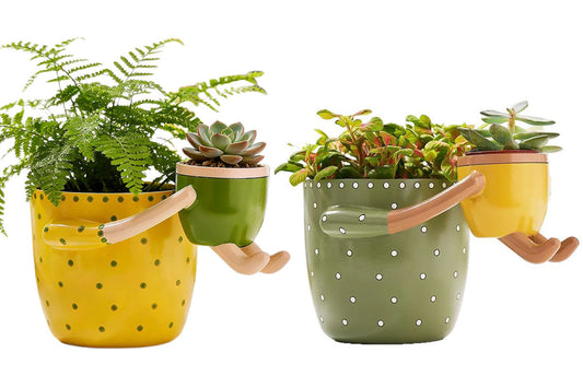 2-In-1 Resin Flower Pot with Drainage Hole