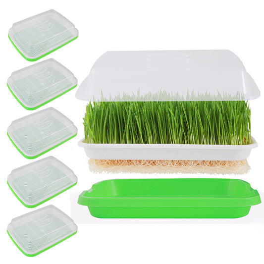 5 Pack Seed Sprouter Trays for Microgreens Soil-Free Growing with Drain Holes