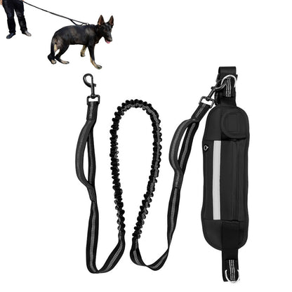 Hand Free Dog Leash With Zipper Pouch Dual Padded Handles Bungee for Jogging and Running Your pet