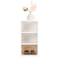 3 Tiers Foldable Stackable Shoe Organizer with Clear Door Plastic Shoe Rack