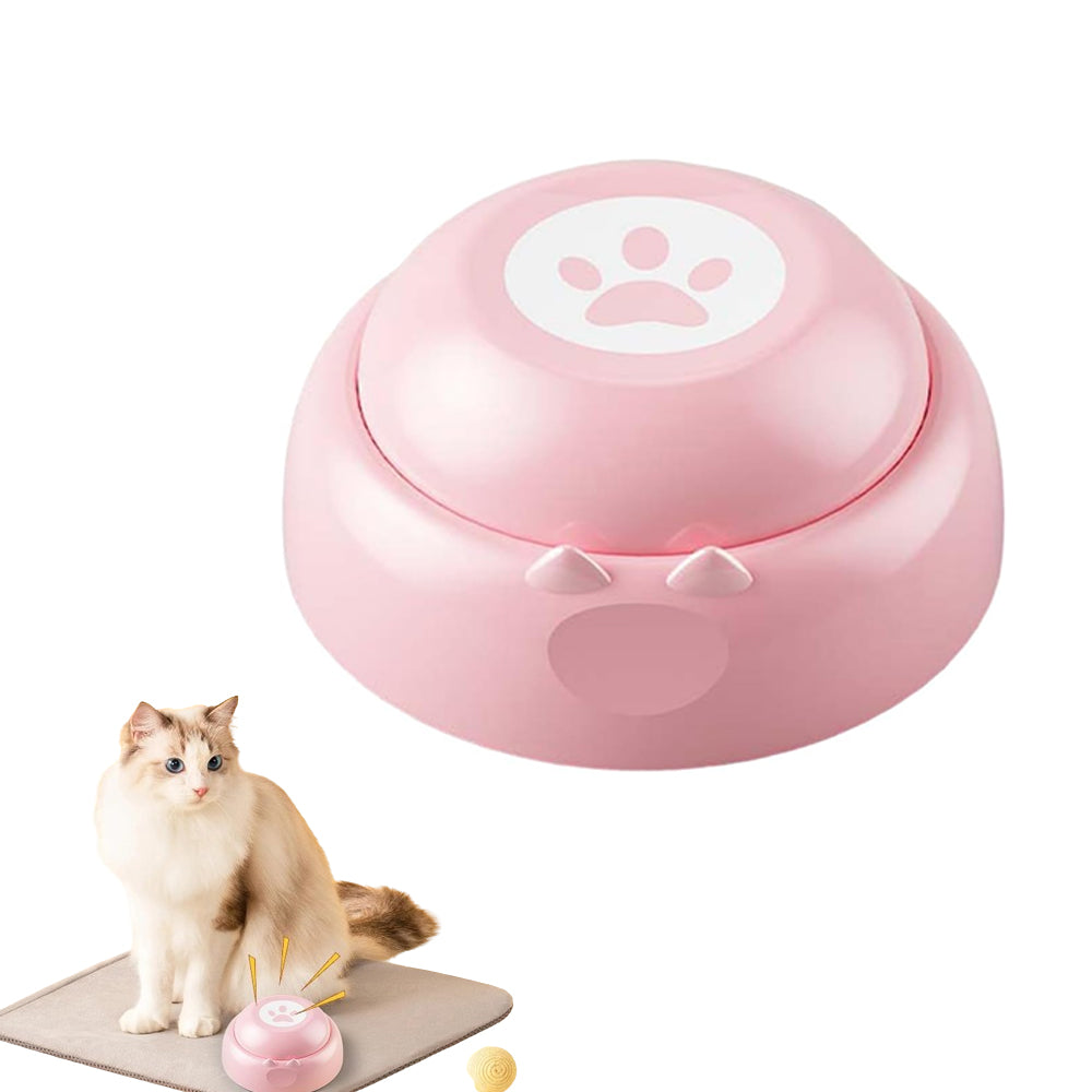 Recording Communication Button for Pet Training