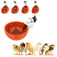5Pcs Automatic Chicken Drinking Bowl Feeder