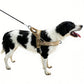 Mesh Padded Dog Harness No-Pull Vest